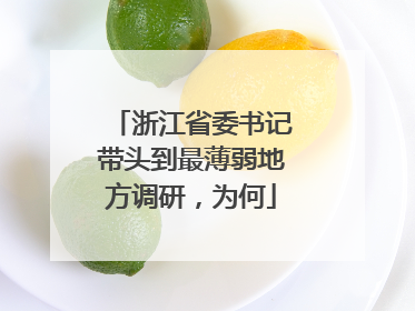 浙江省委书记带头到最薄弱地方调研，为何