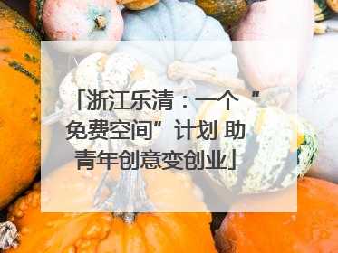 浙江乐清：一个“免费空间”计划 助青年创意变创业