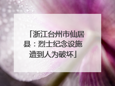 浙江台州市仙居县：烈士纪念设施遭到人为破坏