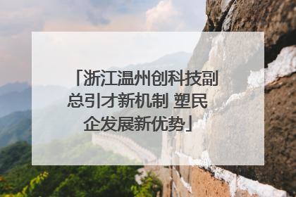 浙江温州创科技副总引才新机制 塑民企发展新优势