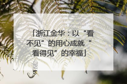 浙江金华：以“看不见”的用心成就“看得见”的幸福