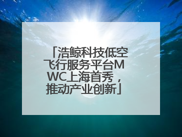 浩鲸科技低空飞行服务平台MWC上海首秀，推动产业创新