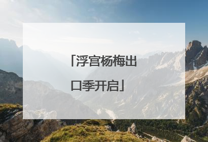 浮宫杨梅出口季开启