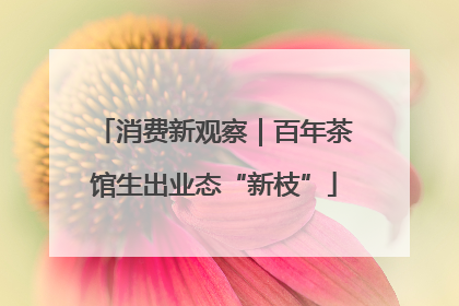 消费新观察｜百年茶馆生出业态“新枝”