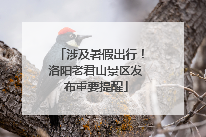 涉及暑假出行！洛阳老君山景区发布重要提醒