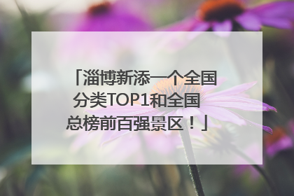 淄博新添一个全国分类TOP1和全国总榜前百强景区！