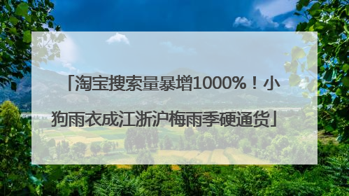 淘宝搜索量暴增1000%！小狗雨衣成江浙沪梅雨季硬通货