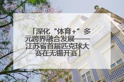 深化“体育+”多元跨界融合发展——江苏省首届匹克球大赛在无锡开赛