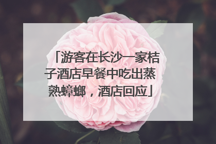 游客在长沙一家桔子酒店早餐中吃出蒸熟蟑螂，酒店回应