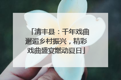 清丰县：千年戏曲邂逅乡村振兴，精彩戏曲盛宴燃动夏日