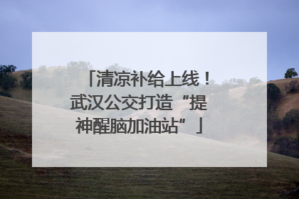 清凉补给上线！武汉公交打造“提神醒脑加油站”