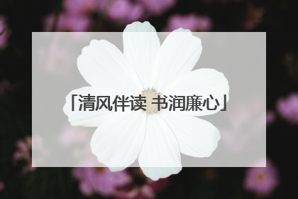 清风伴读 书润廉心
