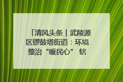 清风头条｜武陵源区锣鼓塔街道：环境整治“暖民心” 辖区面貌“靓”起来