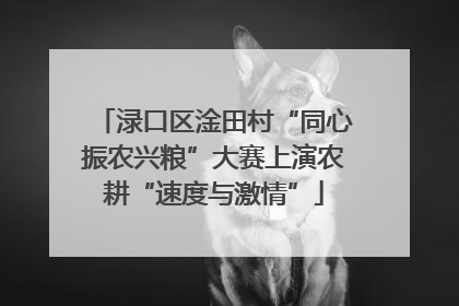 渌口区淦田村“同心振农兴粮”大赛上演农耕“速度与激情”