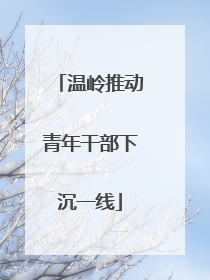 温岭推动青年干部下沉一线