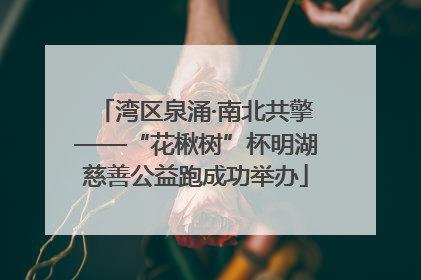 湾区泉涌·南北共擎——“花楸树”杯明湖慈善公益跑成功举办