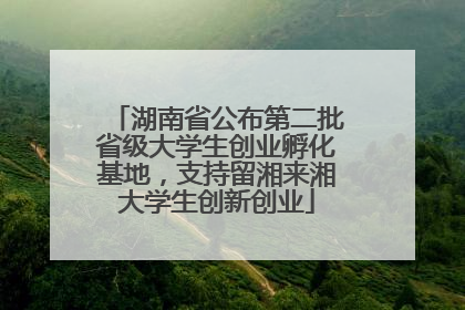 湖南省公布第二批省级大学生创业孵化基地，支持留湘来湘大学生创新创业