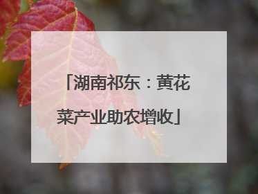 湖南祁东：黄花菜产业助农增收