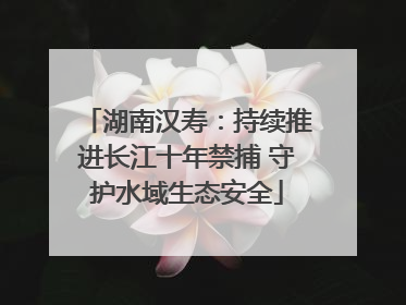 湖南汉寿：持续推进长江十年禁捕 守护水域生态安全