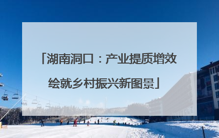 湖南洞口：产业提质增效 绘就乡村振兴新图景