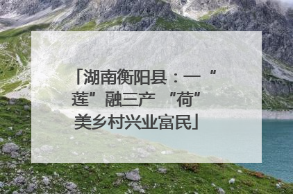 湖南衡阳县：一“莲”融三产 “荷”美乡村兴业富民