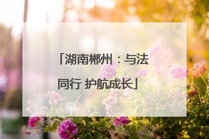 湖南郴州：与法同行 护航成长