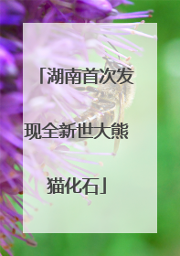 湖南首次发现全新世大熊猫化石