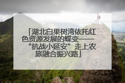 湖北白果树湾依托红色资源发展的蝶变——“抗战小延安”走上农旅融合振兴路