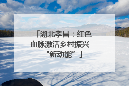 湖北孝昌：红色血脉激活乡村振兴“新动能”