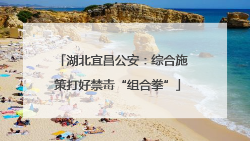 湖北宜昌公安：综合施策打好禁毒“组合拳”