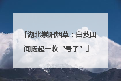湖北崇阳烟草：白芨田间扬起丰收“号子”