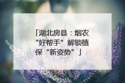 湖北房县：烟农“好帮手”解锁植保“新姿势”