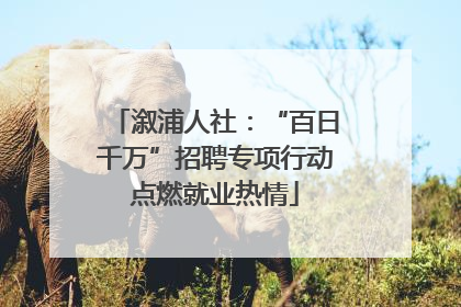 溆浦人社：“百日千万”招聘专项行动点燃就业热情