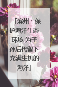 滨州：保护海洋生态环境 为子孙后代留下充满生机的海洋