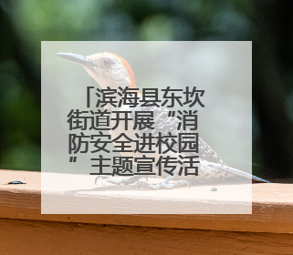 滨海县东坎街道开展“消防安全进校园”主题宣传活动