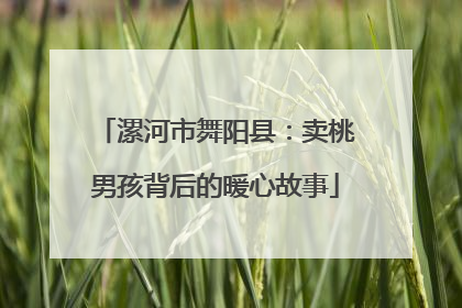 漯河市舞阳县：卖桃男孩背后的暖心故事