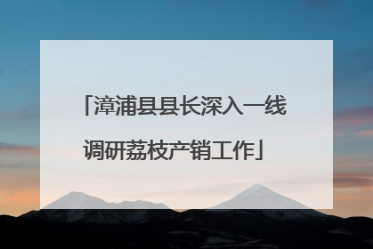 漳浦县县长深入一线调研荔枝产销工作