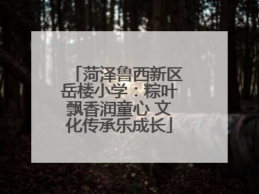 菏泽鲁西新区岳楼小学：粽叶飘香润童心 文化传承乐成长