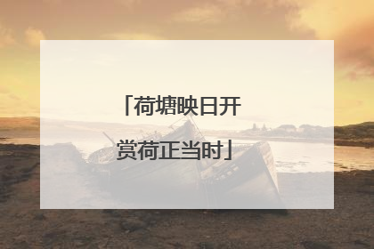 荷塘映日开 赏荷正当时