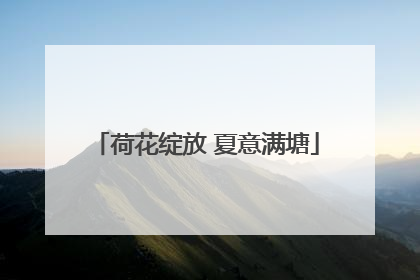 荷花绽放 夏意满塘