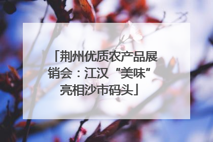 荆州优质农产品展销会：江汉“美味”亮相沙市码头