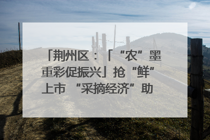 荆州区：「“农”墨重彩促振兴」抢“鲜”上市 “采摘经济”助农“甜蜜增收”