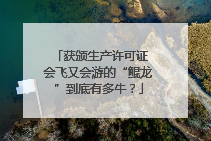 获颁生产许可证 会飞又会游的“鲲龙”到底有多牛？