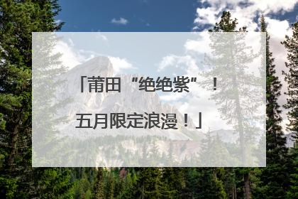 莆田“绝绝紫”！五月限定浪漫！