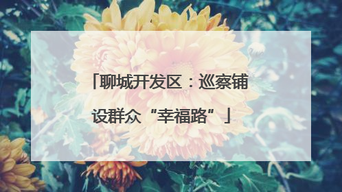 聊城开发区：巡察铺设群众“幸福路”