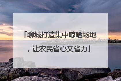 聊城打造集中晾晒场地，让农民省心又省力