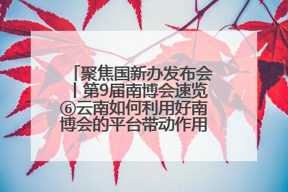 聚焦国新办发布会丨第9届南博会速览⑥云南如何利用好南博会的平台带动作用，深化与南亚国家的交流与合作？