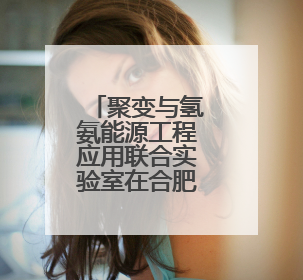 聚变与氢氨能源工程应用联合实验室在合肥揭牌