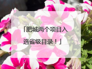 肥城两个项目入选省级目录！