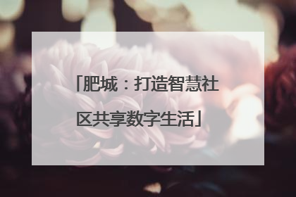 肥城：打造智慧社区共享数字生活